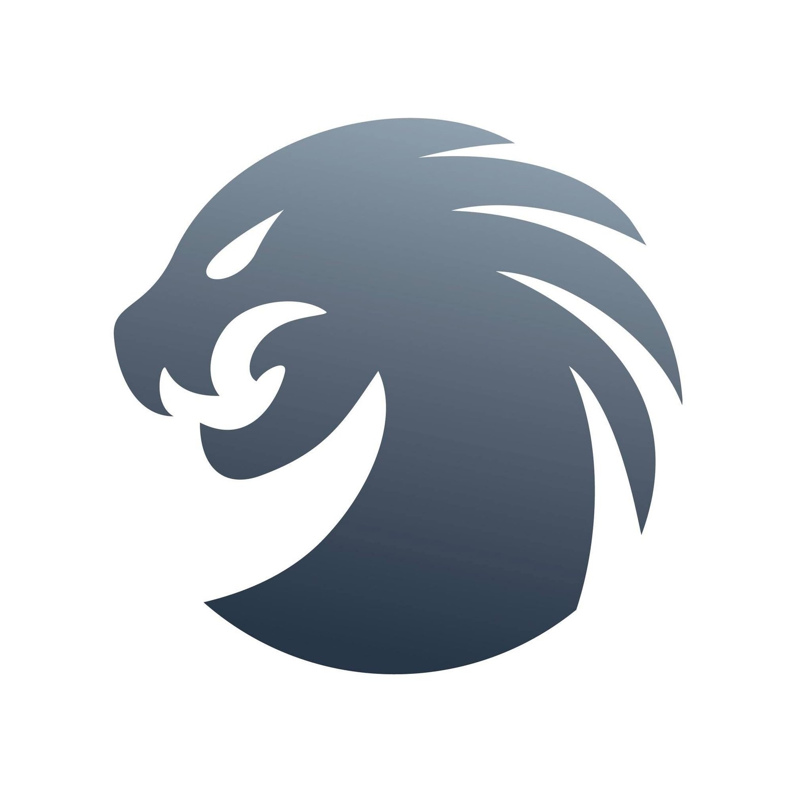 Hydra Tool Digital  License  3 Months - Without Dongle