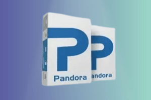 Active Z3X SAMSUNG Tool PRO OnPandora Box ((LifeTime))